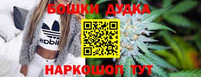 спиды Бийск