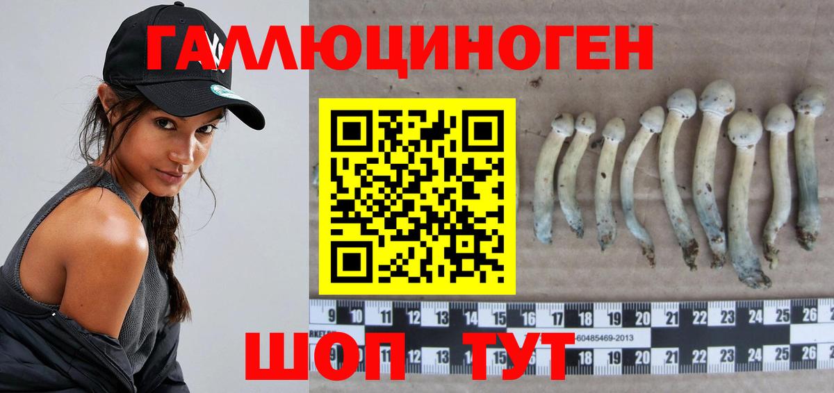 Псилоцибиновые грибы GOLDEN TEACHER Коломна