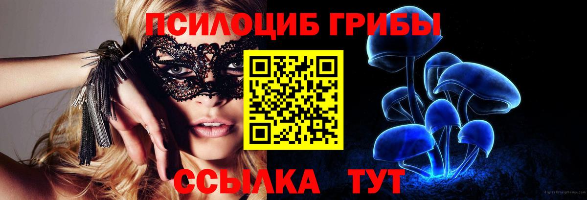 Коломна  Псилоцибиновые грибы Magic Shrooms  Вход с VPN  купить наркотики сайты  Псилоцибиновые грибы GOLDEN TEACHER 